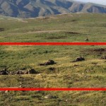 Трупы убитых азербайджанских военнослужащих: фотография с сайта АО