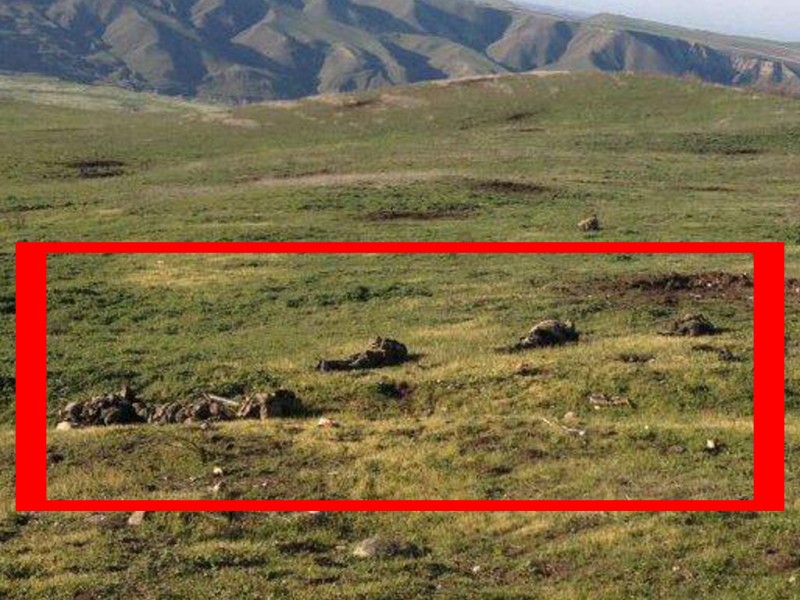 Трупы убитых азербайджанских военнослужащих: фотография с сайта АО