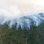Пожар в лесах у города Боржоми
