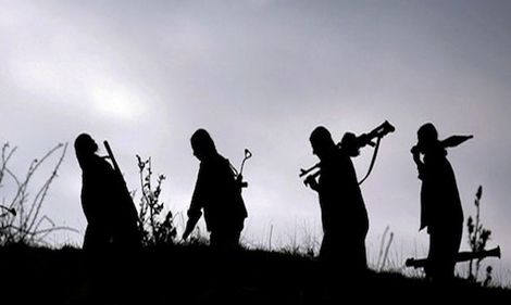 PKK-ի անդամներ