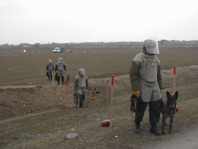 Ադրբեջանի ականազերծման ազգային գործակալության (ANAMA) աշխատակիցներն ու վարժեցված շները