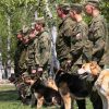 Ռուսաստանի ԶՈւ զինծառայողները՝ վարժեցված շների հետ