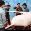 Իրանի ավիացիոն և տիեզերական արտադրանքների 7-րդ միջազգային ցուցահանդեսին ներկայացված ԱԹՍ