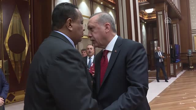 Թուրքիայի նախագահը և Սուդանի արտգործնախարարը